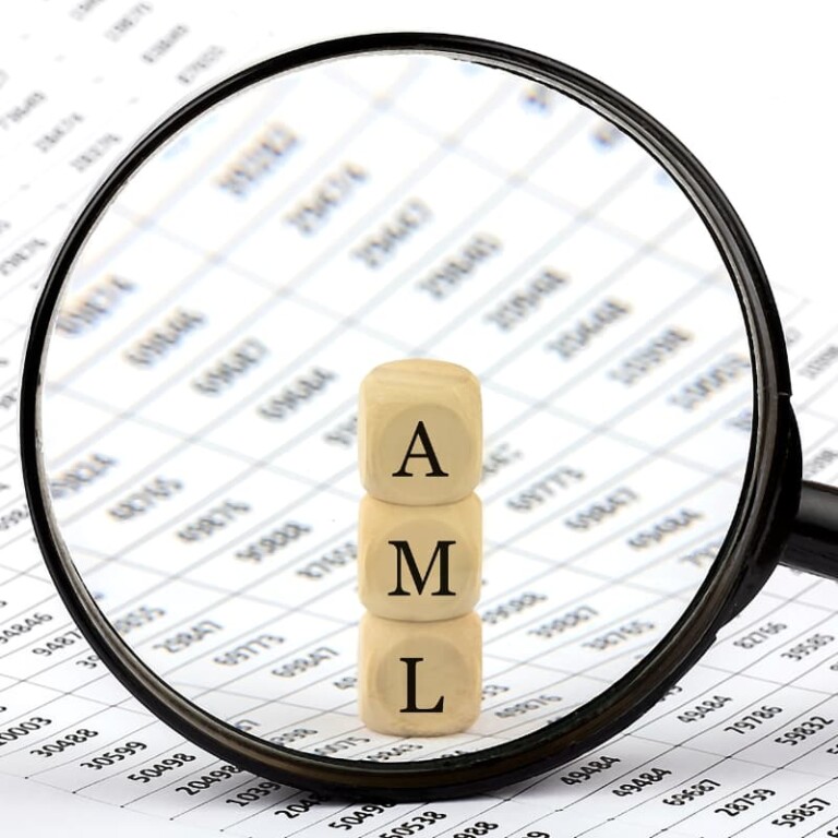 What is an anti-money laundering (AML) check